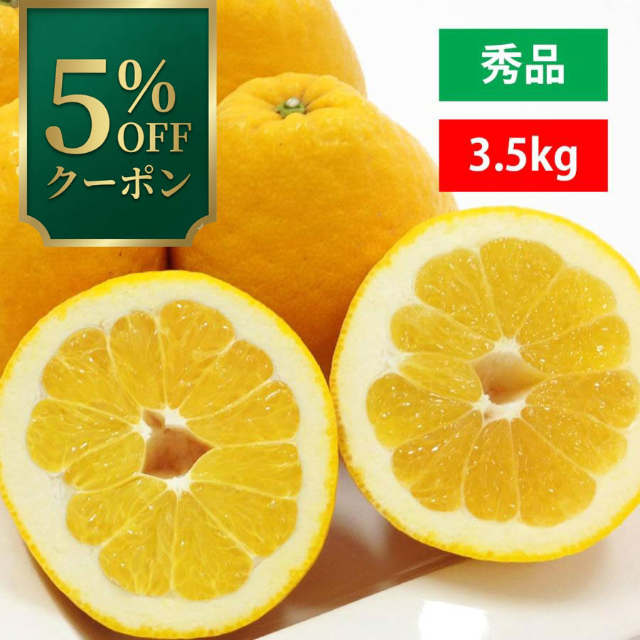 �݂��� �͓��ӊ� �G�i 3.5kg  ������ �݂��� �W���[�V�[ �a�� �O���[�v�t���[�c ���Q �I�����W ���� �{ ����  �M�t�g �|�C���g���p ����
