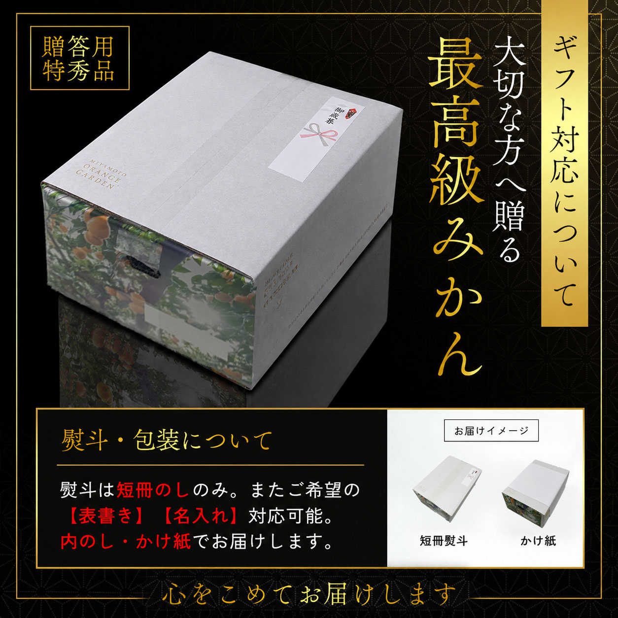愛媛みかん説明
