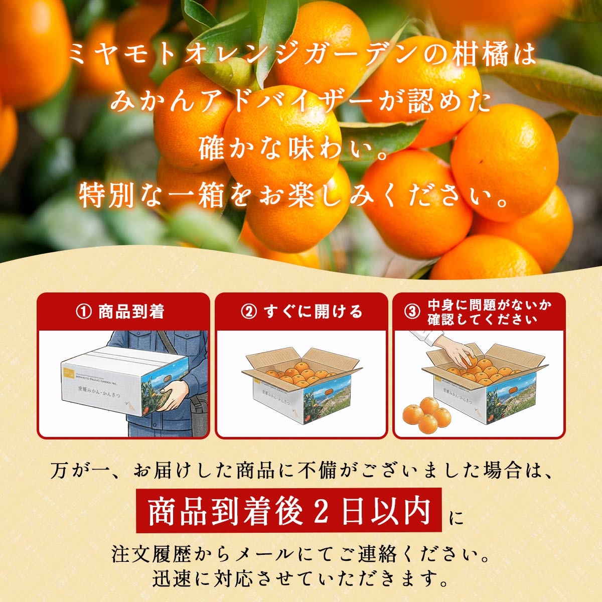愛媛みかん説明
