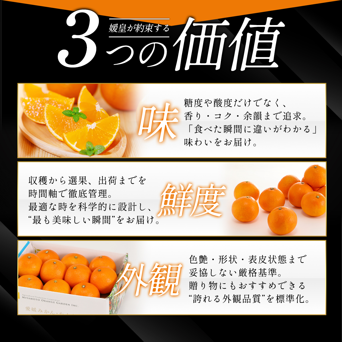 愛媛みかん説明