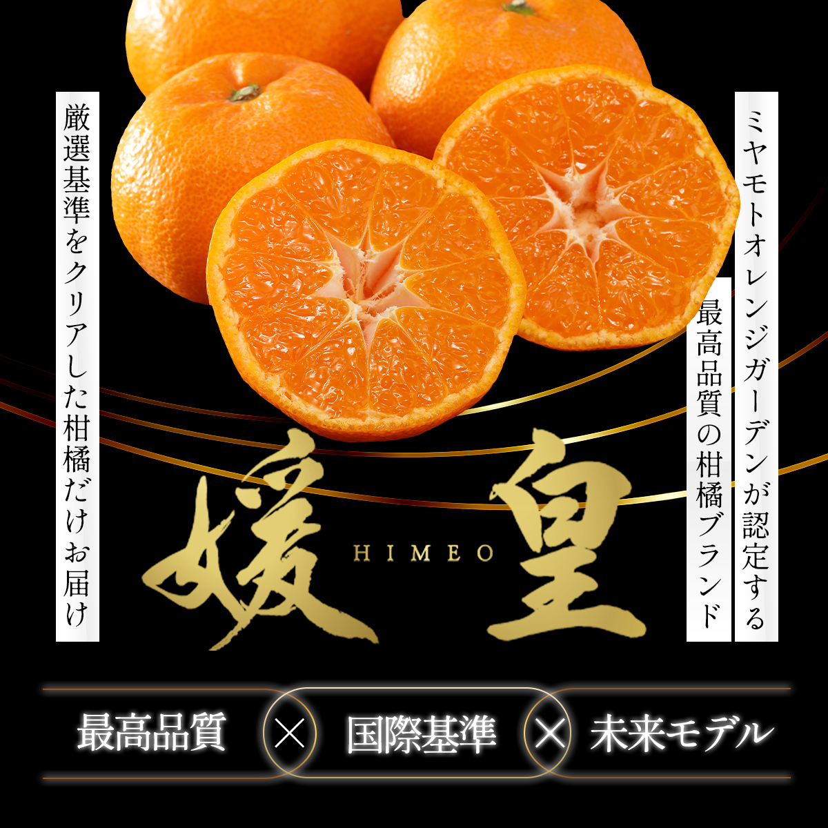 愛媛みかん説明