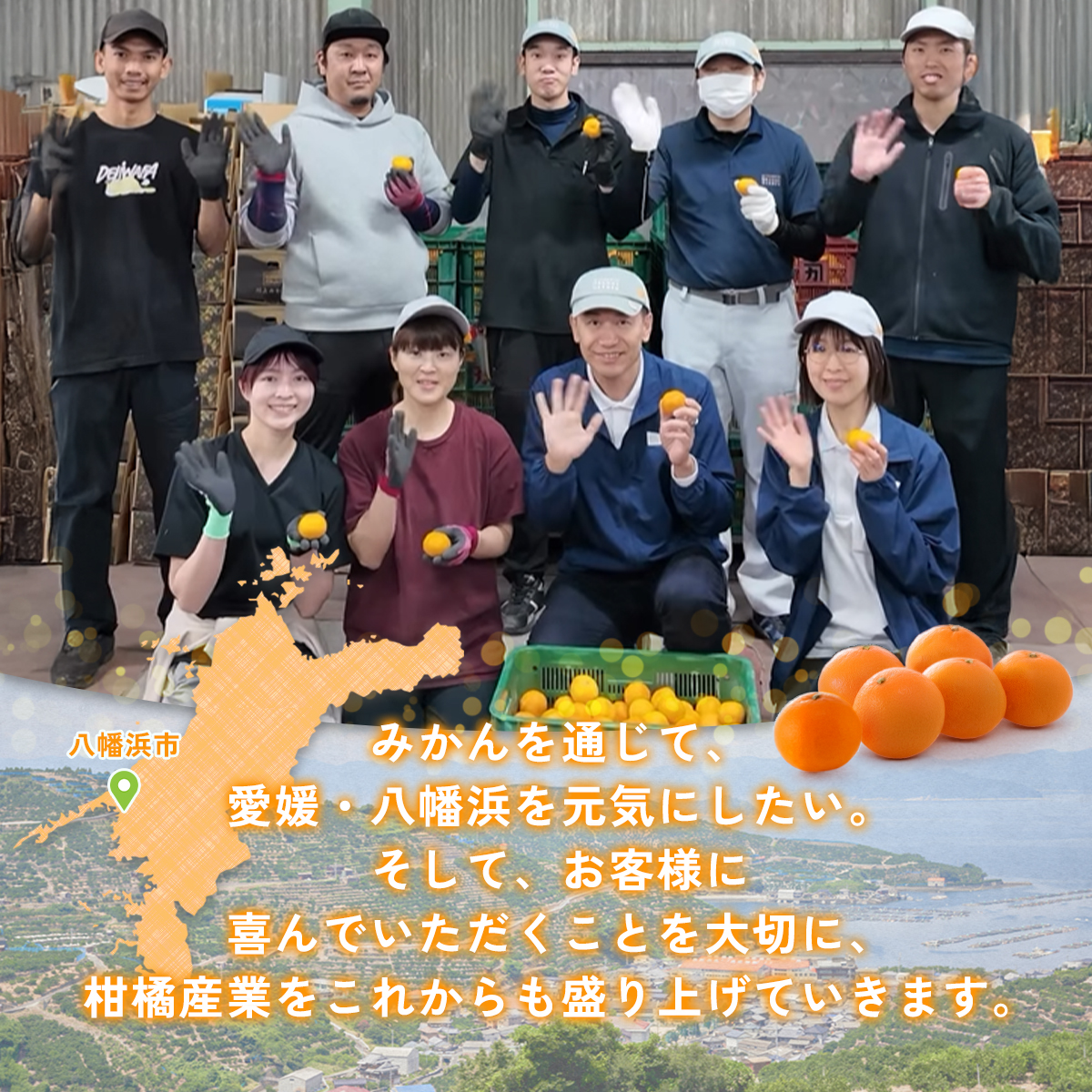 愛媛みかん説明