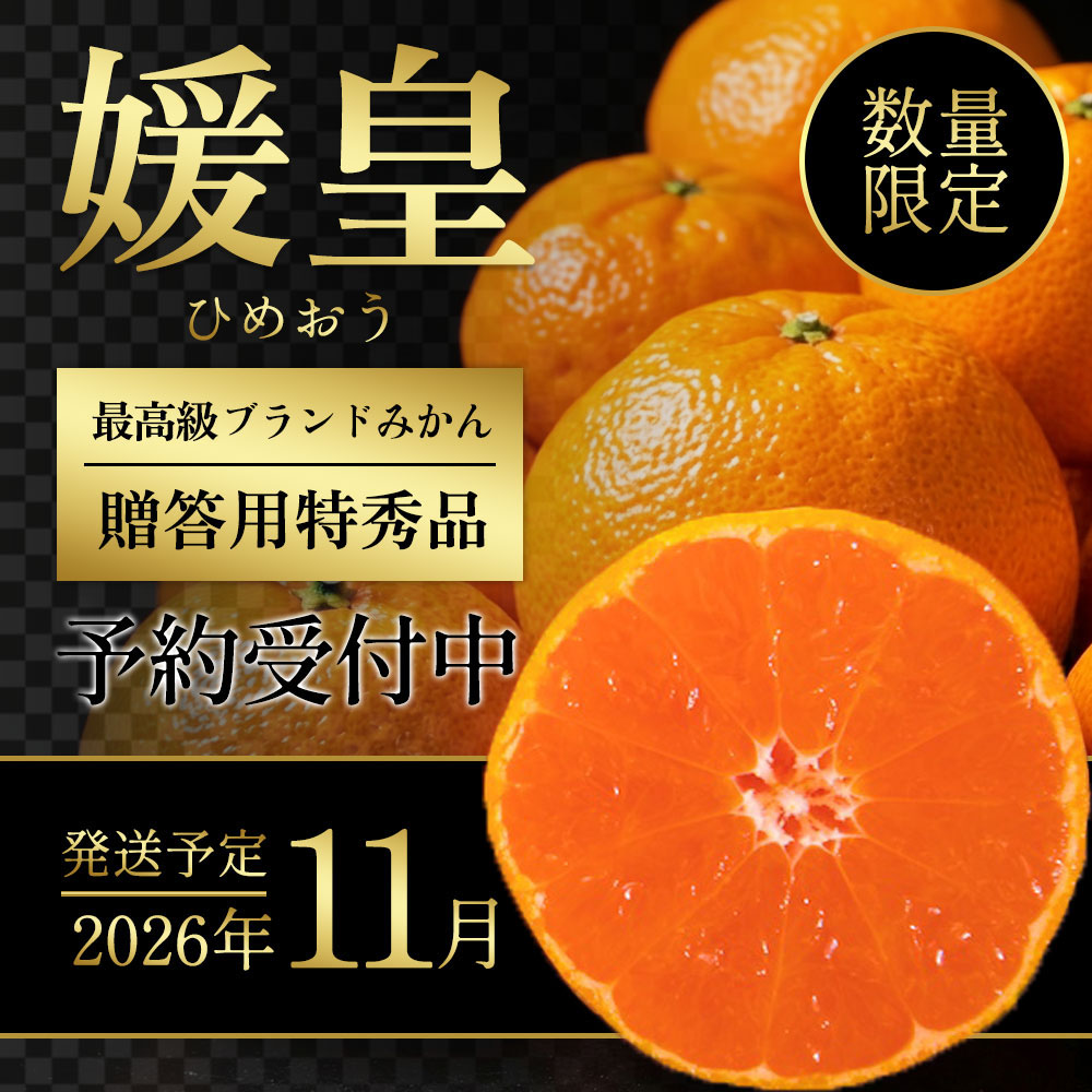 愛媛みかん説明