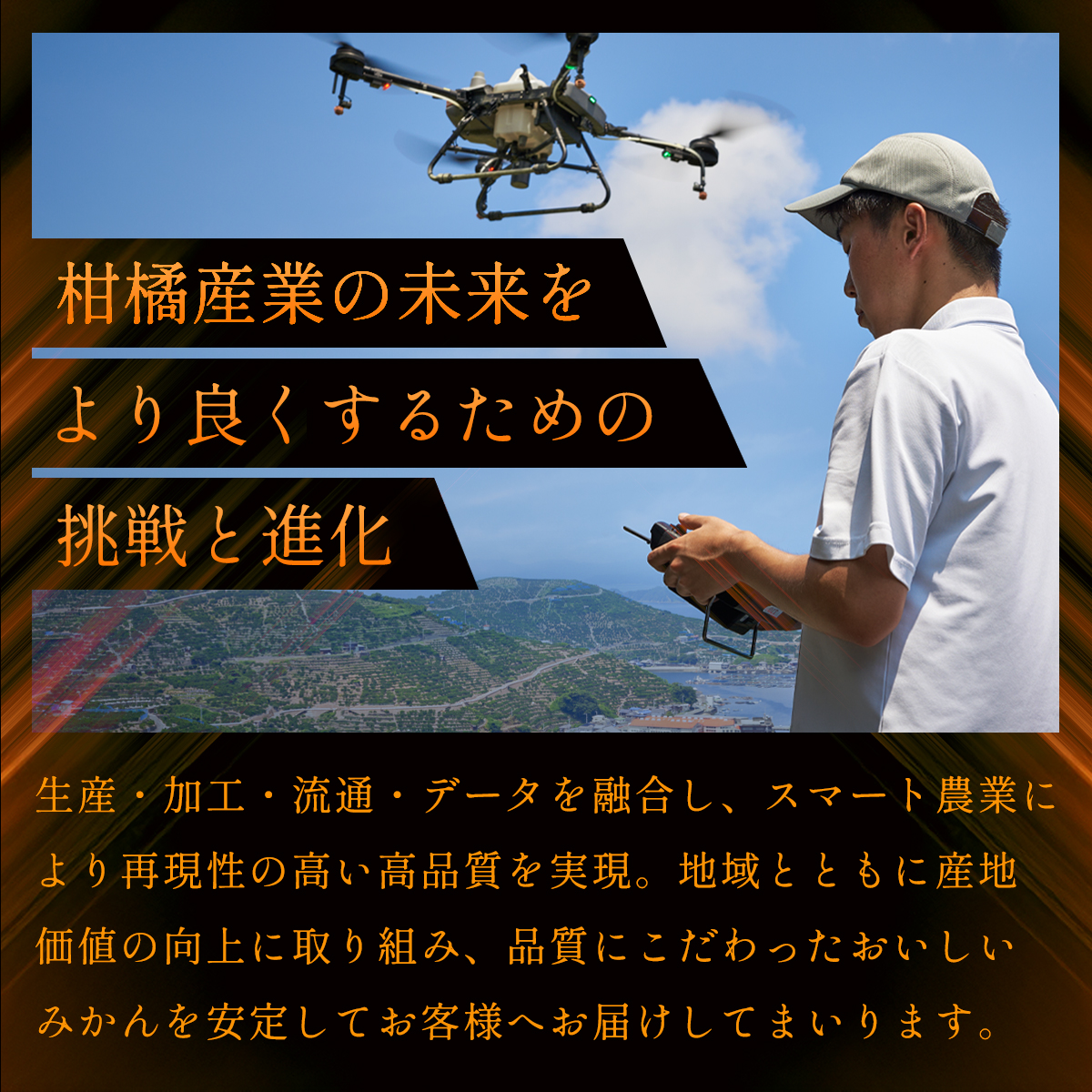 愛媛みかん説明