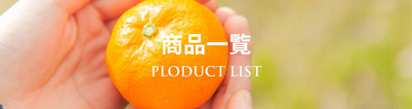 みかんの通販サイトミヤモトオレンジガーデンの商品一覧はコチラ