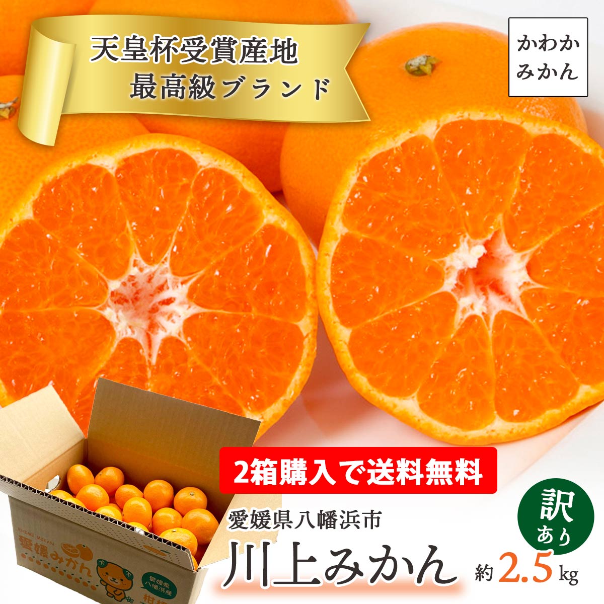 かわかみかん説明