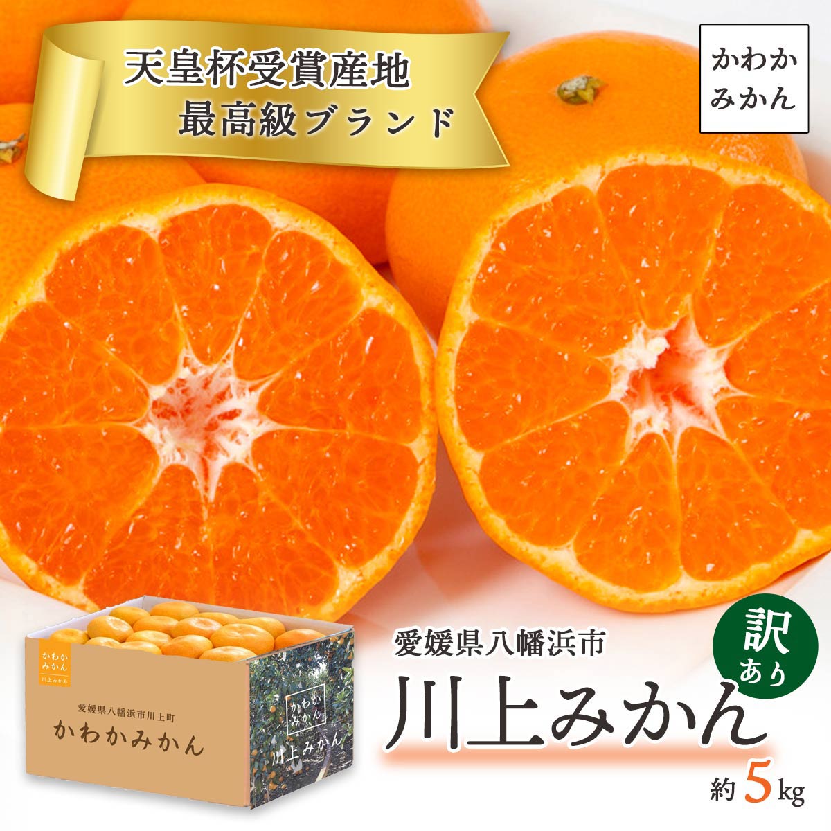かわかみかん説明