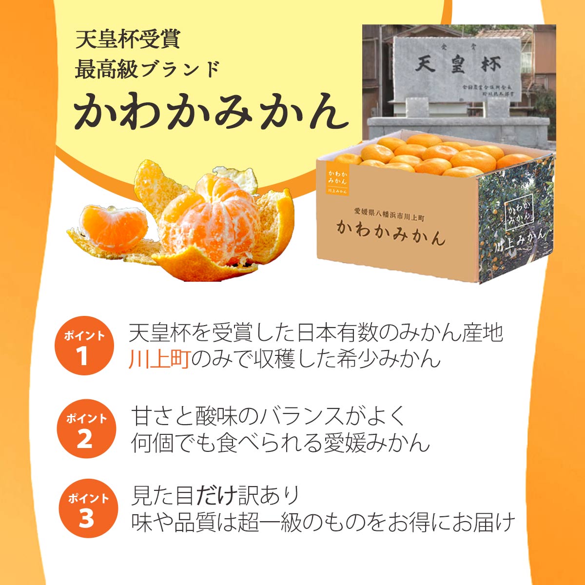 かわかみかん説明
