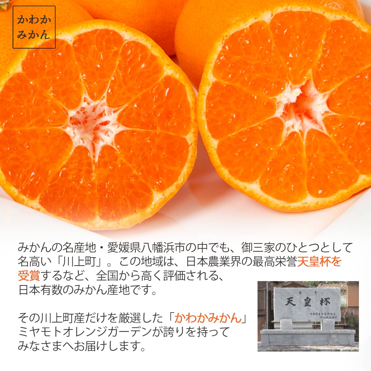 かわかみかん説明