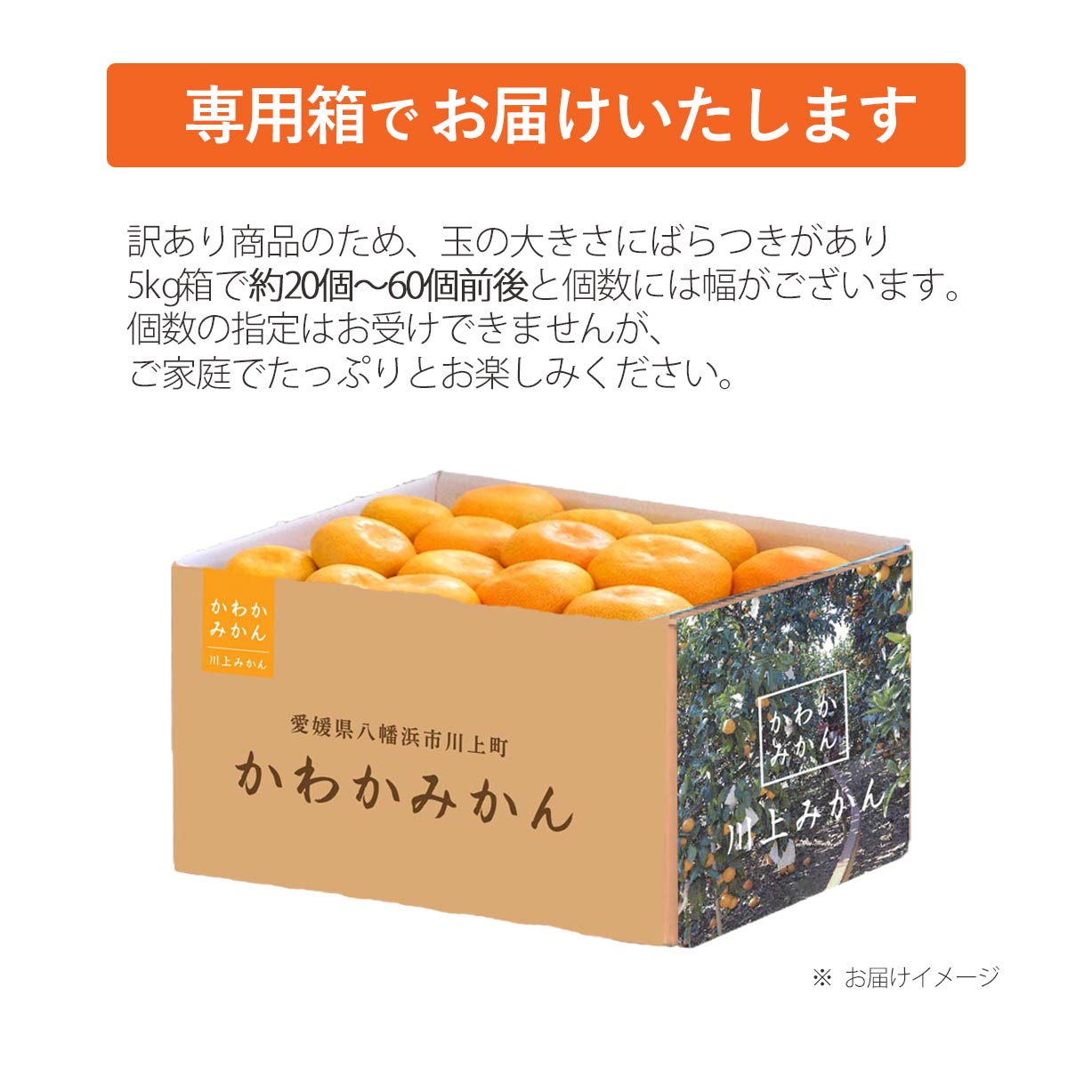 かわかみかん説明