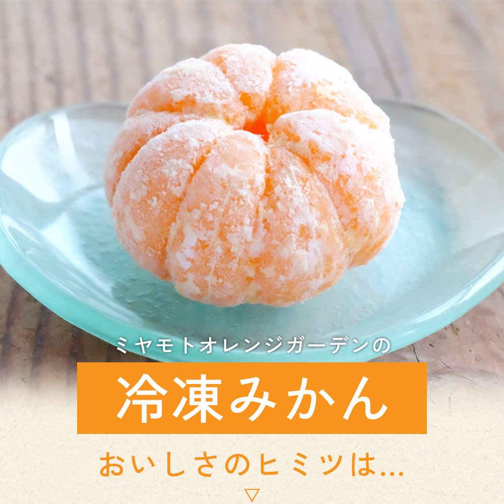 ミヤモトオレンジガーデン プレゼント 冷凍みかん 皮なし 冷凍 ミカン