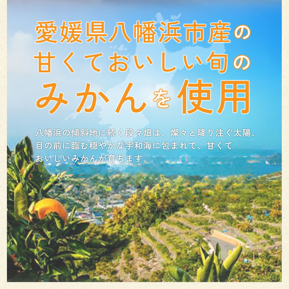冷凍みかん6
