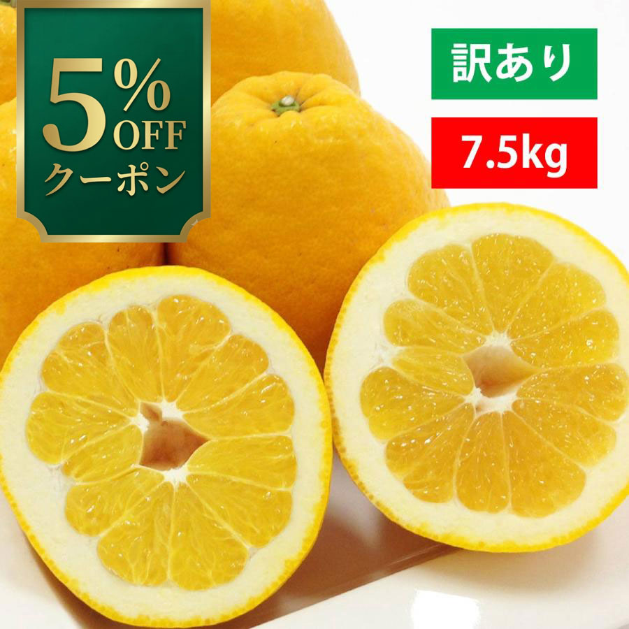 �݂��� ���Q �͓��ӊ� �a���O���[�v�t���[�c 7.5kg �������� �󂠂� �t���[�c �������� �{ ���ƒ�p �����p  ��e�� �|�C���g���p ����