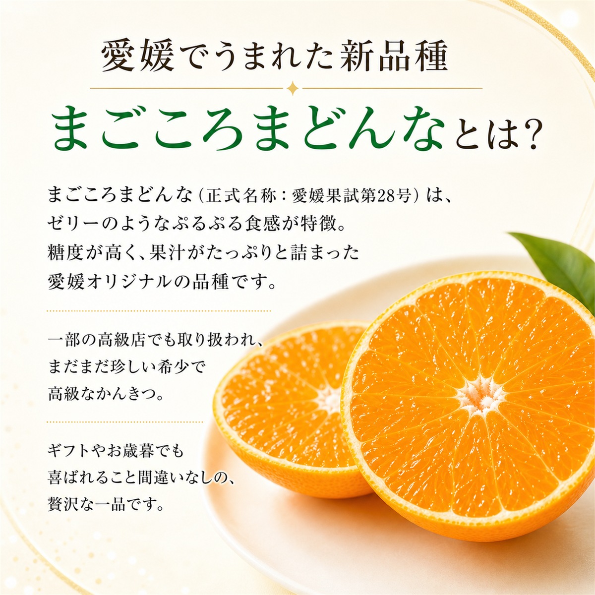 まどんな説明