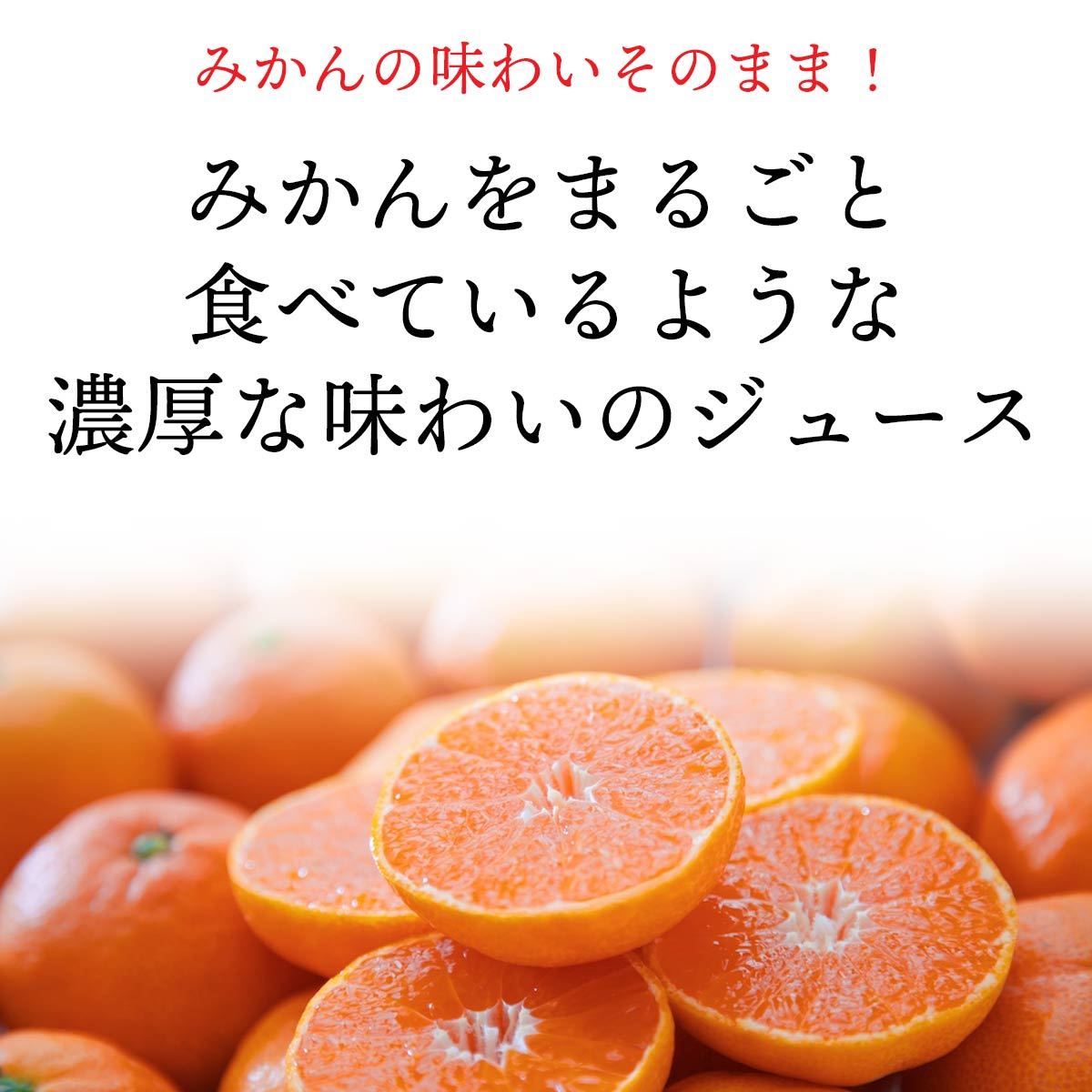 ギフト 愛媛産 みかん ジュース オレンジ 自然のめぐみ 小瓶 180ml×12