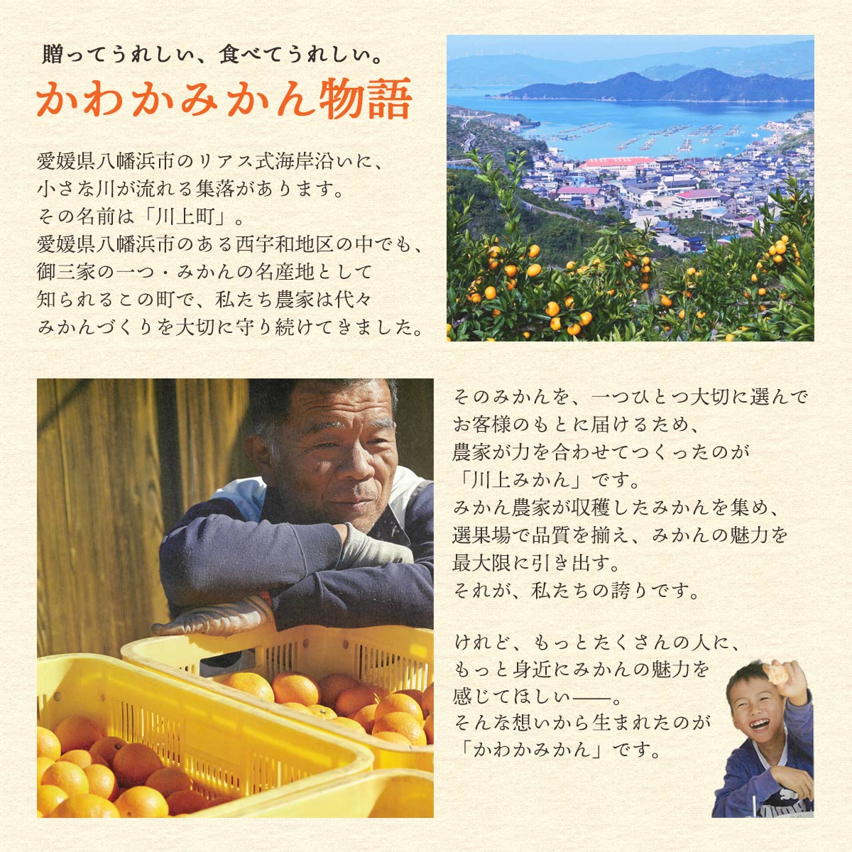 かわかみかん説明