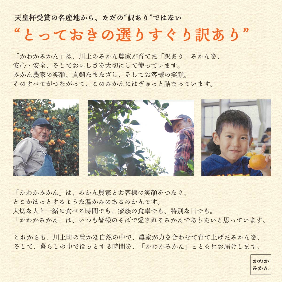 かわかみかん説明