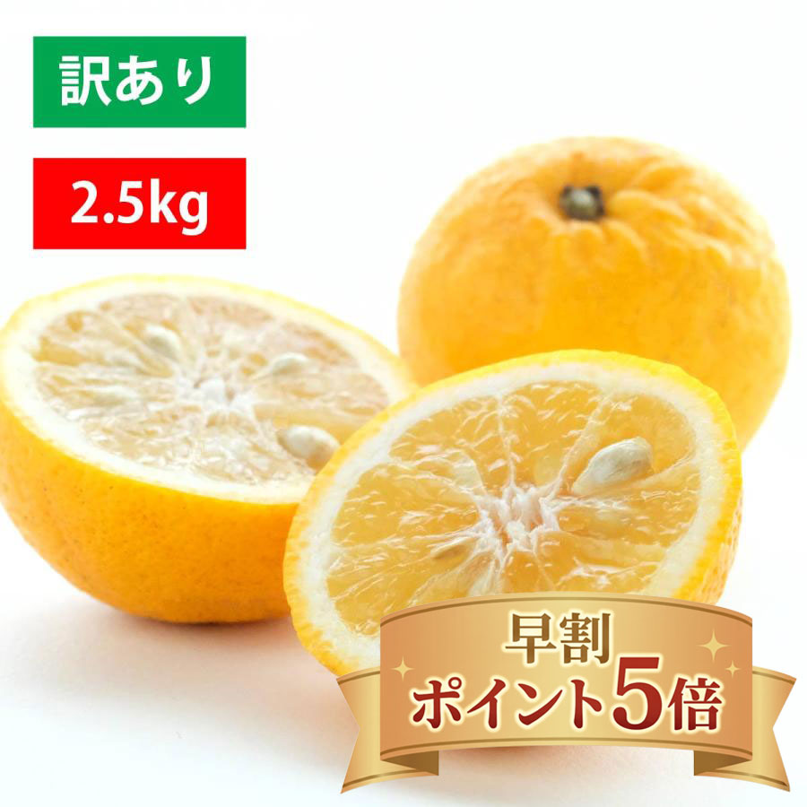 ミヤモトオレンジガーデン みかん 日向夏 ニューサマーオレンジ 小夏