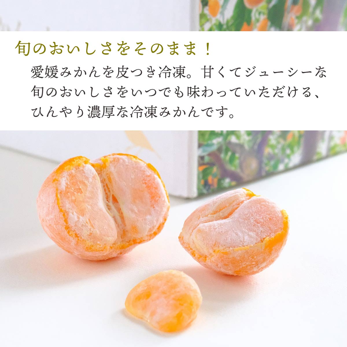 冷凍みかん２"