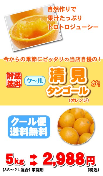 訳ありの訳あり 清見 タンゴール10kg2,280円送料無料⇒清見 オレンジ