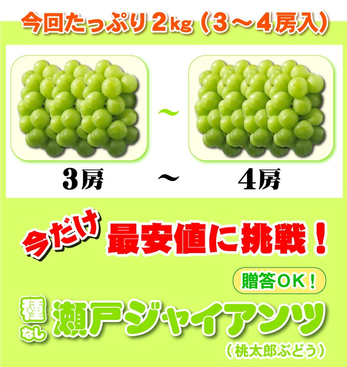 瀬戸ジャイアンツ2kg 送料無料で最安値に挑戦！皮ごと食べれる新鮮