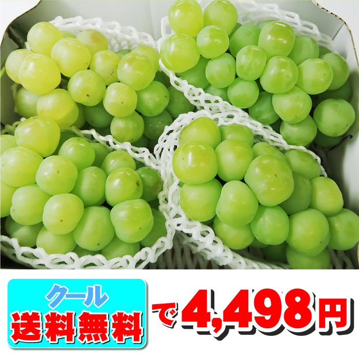 瀬戸ジャイアンツ2kg 送料無料で最安値に挑戦！皮ごと食べれる新鮮