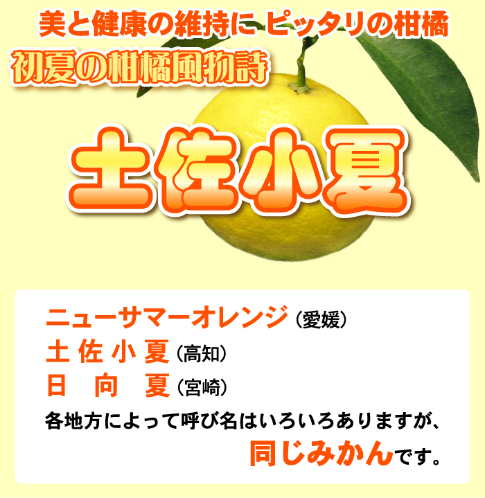 新素材新作 土佐小夏 家庭用 5ｋｇ 美と健康を維持する高価な みかん 日向夏 送料無料たっぷり5ｋｇ ktd-koube.com