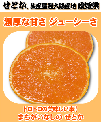 専用☆1点もの❤みかん❤超暖か♥しっとりトロっとろ❤大きめシングル