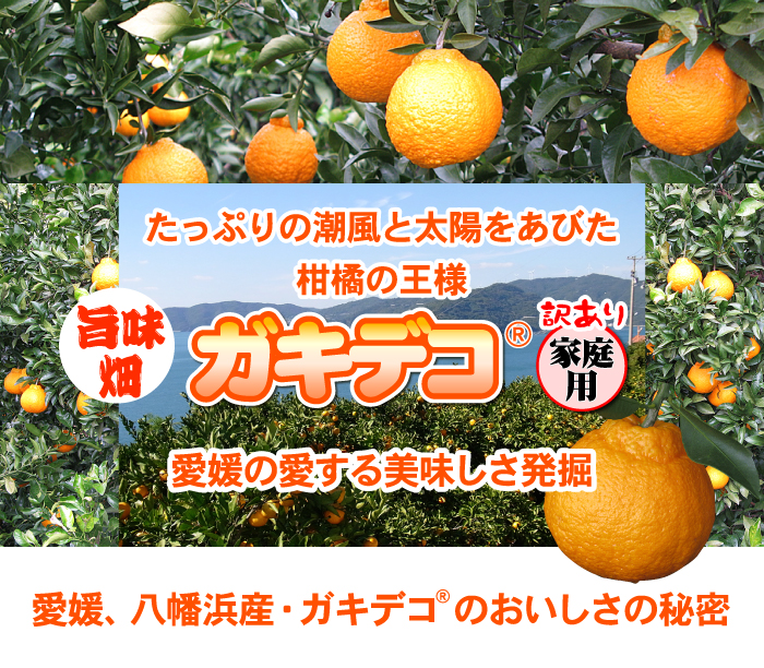 【Pё】みかん、デコポン、清美 500mlを各4本＊2箱　【２箱縛り】 Pё様専用】みかん、デコポン、清美 500mlを各4本＊2箱 【2箱縛り】