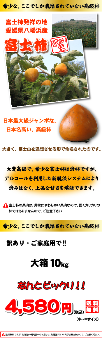 希少 富士柿⇒大箱10kg訳あり君 ここだけにしかない富士柿 最安値に