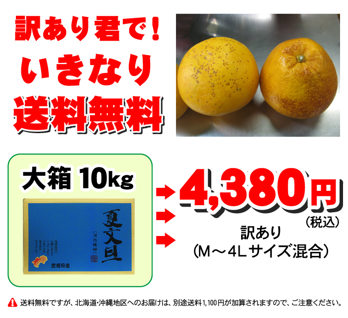 河内晩柑・ポイント15倍！TVで話題の食べる天然ジュース 河内晩