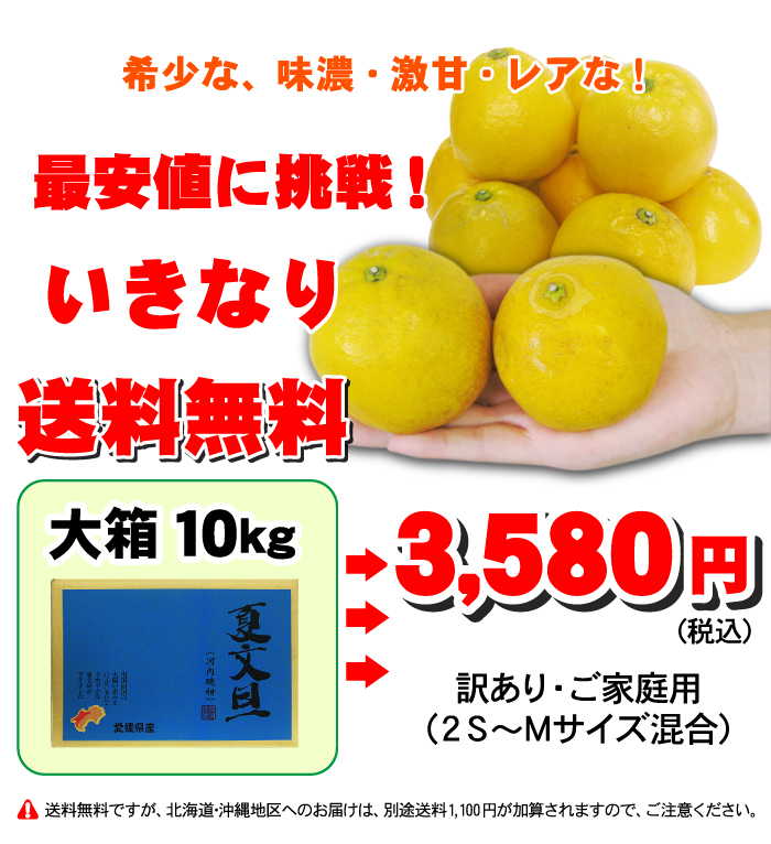 人気の小玉 河内晩柑・10kgTVで話題の食べる天然ジュース 河内