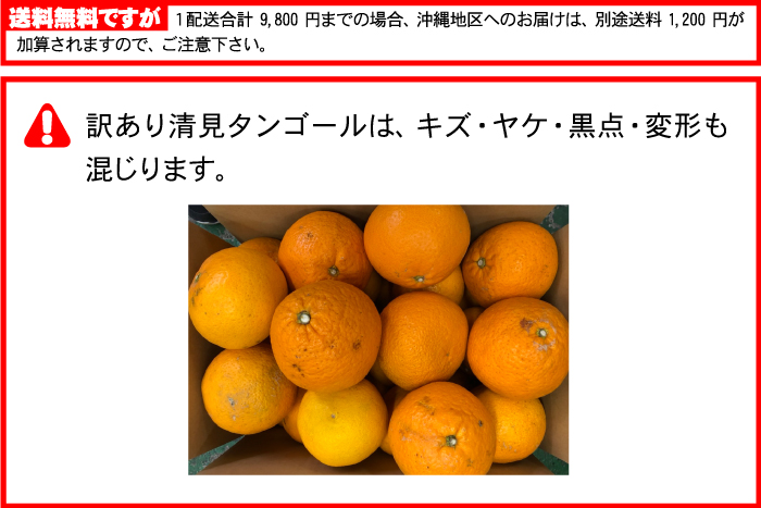 訳あり 清見 タンゴール 10kg送料無料⇒清見 オレンジ☆大人気の