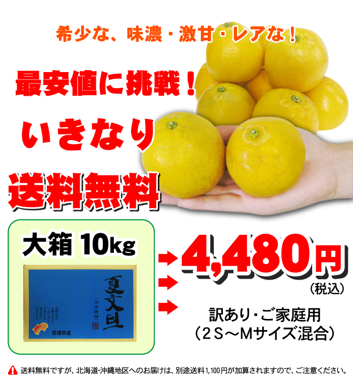 玉ねぎ大好き　河内晩柑7kg×２箱ぐるりん 人気の小玉 河内晩柑・10kgTVで話題の食べる天然ジュース 河内