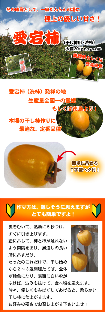 あたご柿 たっぷり20kg（10kgX2箱）で送料無料・愛宕柿（干し柿用
