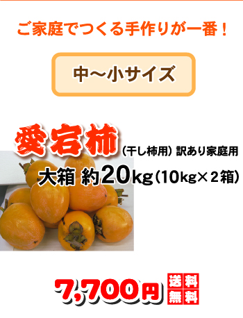 あたご柿 たっぷり20kg（10kgX2箱）で送料無料・愛宕柿（干し柿用