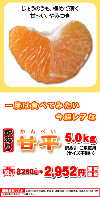 ☆本日10％OFFクーポン割引☆かんぺい！送料無料で赤字覚悟の大箱5kg