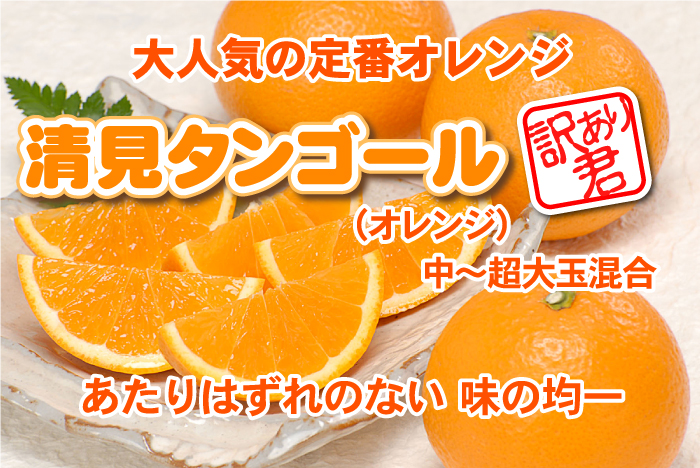 訳あり 清見 タンゴール 10kg送料無料⇒清見 オレンジ☆大人気の日本