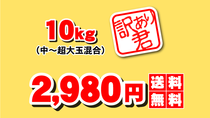 訳あり 清見 タンゴール 10kg送料無料⇒清見 オレンジ☆大人気の日本