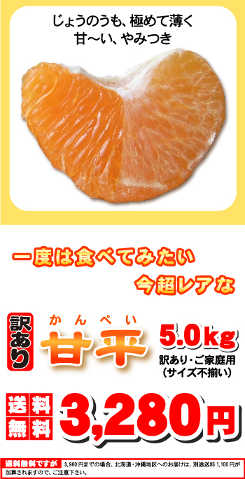 タロッコ5キロ ✖️ 甘平　5キロ キズありでも濃厚な甘み【タロッコ】Bセレクション5kg ｜ 果物