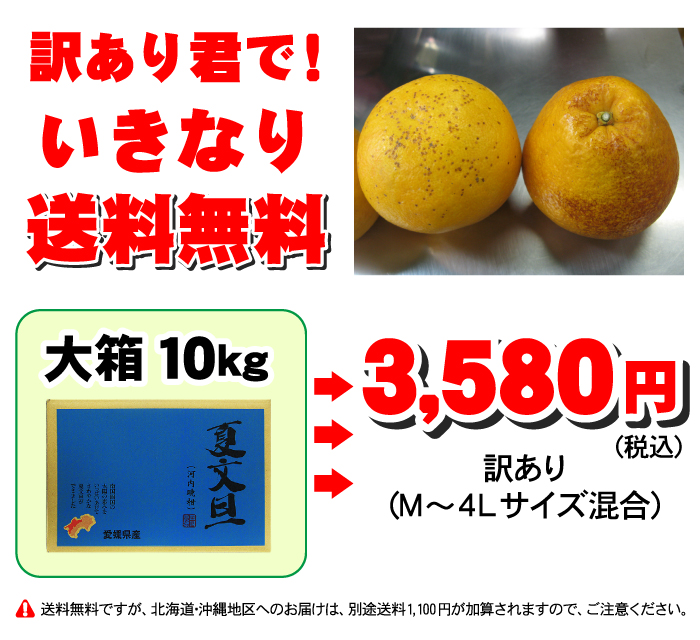 河内晩柑TVで話題の食べる天然ジュース 河内晩柑 （夏文旦）訳あり君