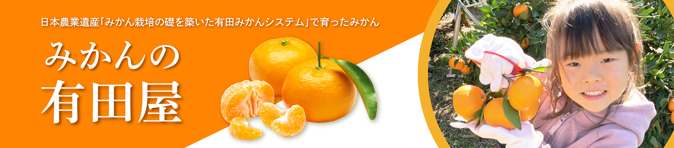 みかんの有田屋 ヘッダー画像