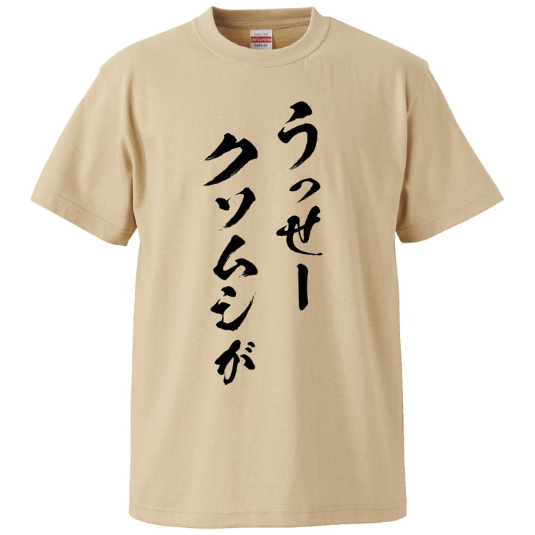 ハシーム　箱あり　tシャツ無し ハシーム箱ありtシャツ無し