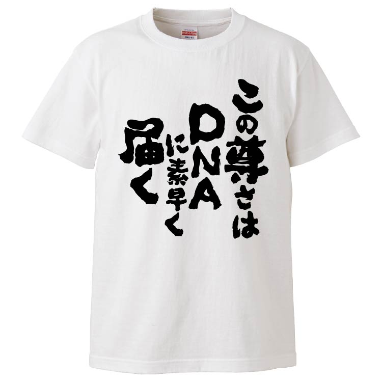 おまけつけます！ 早い者勝ち【非売品】DNS Ｔシャツ おもしろTシャツ このおいしさはDNAに素早く届く ギフト プレゼント