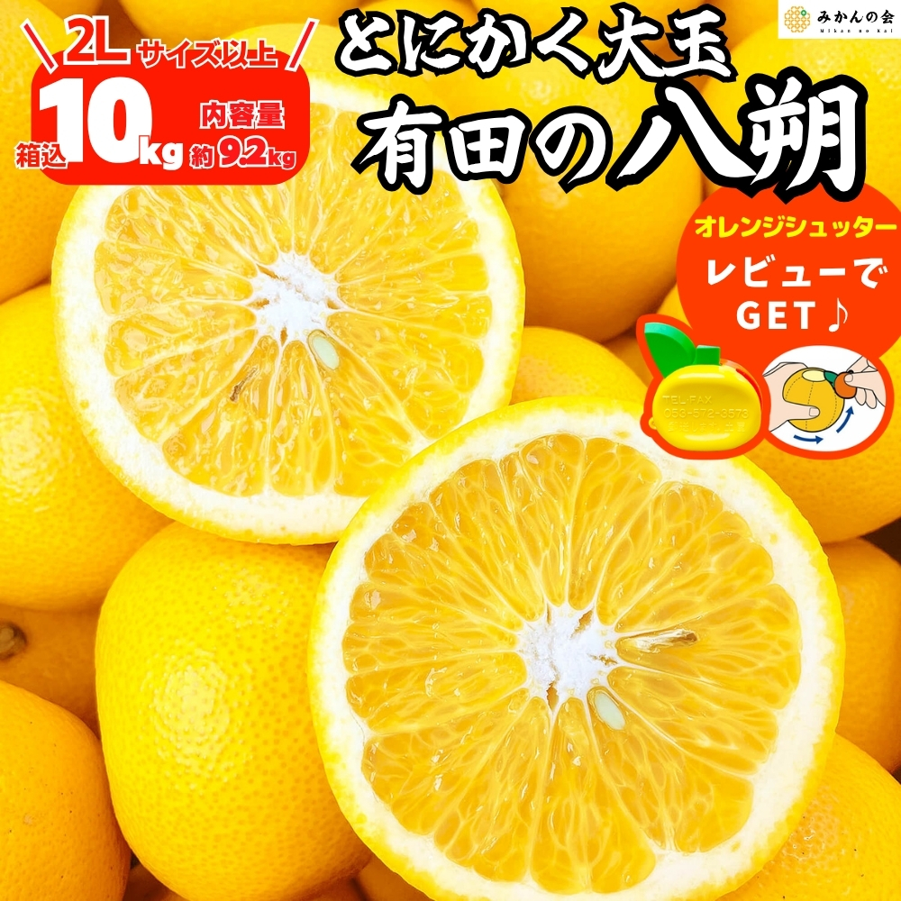 早生八朔　2Lサイズ以上20kg 、5 八朔 2Lサイズ以上 20kg｜Yahoo!フリマ（旧PayPayフリマ）