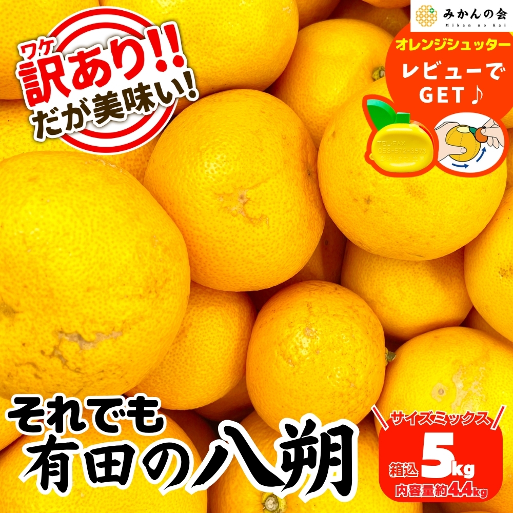 はっさく 八朔のおすすめ人気商品一覧 通販 - Yahoo!ショッピング