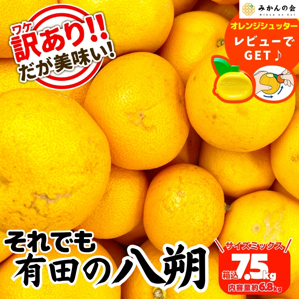 送料無料 訳あり 八朔 (はっさく) 箱込 10kg 7.5kg 5kg 2.5kg サイズ