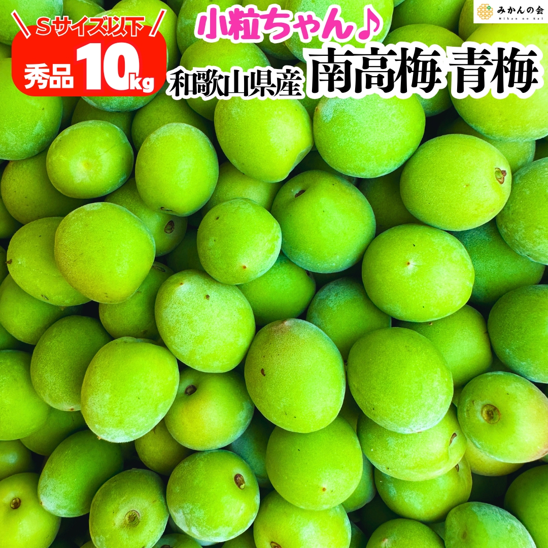 送料無料 南高梅 小粒 Sサイズ以下 青梅 秀品 10kg 5kg 3kg 1kg