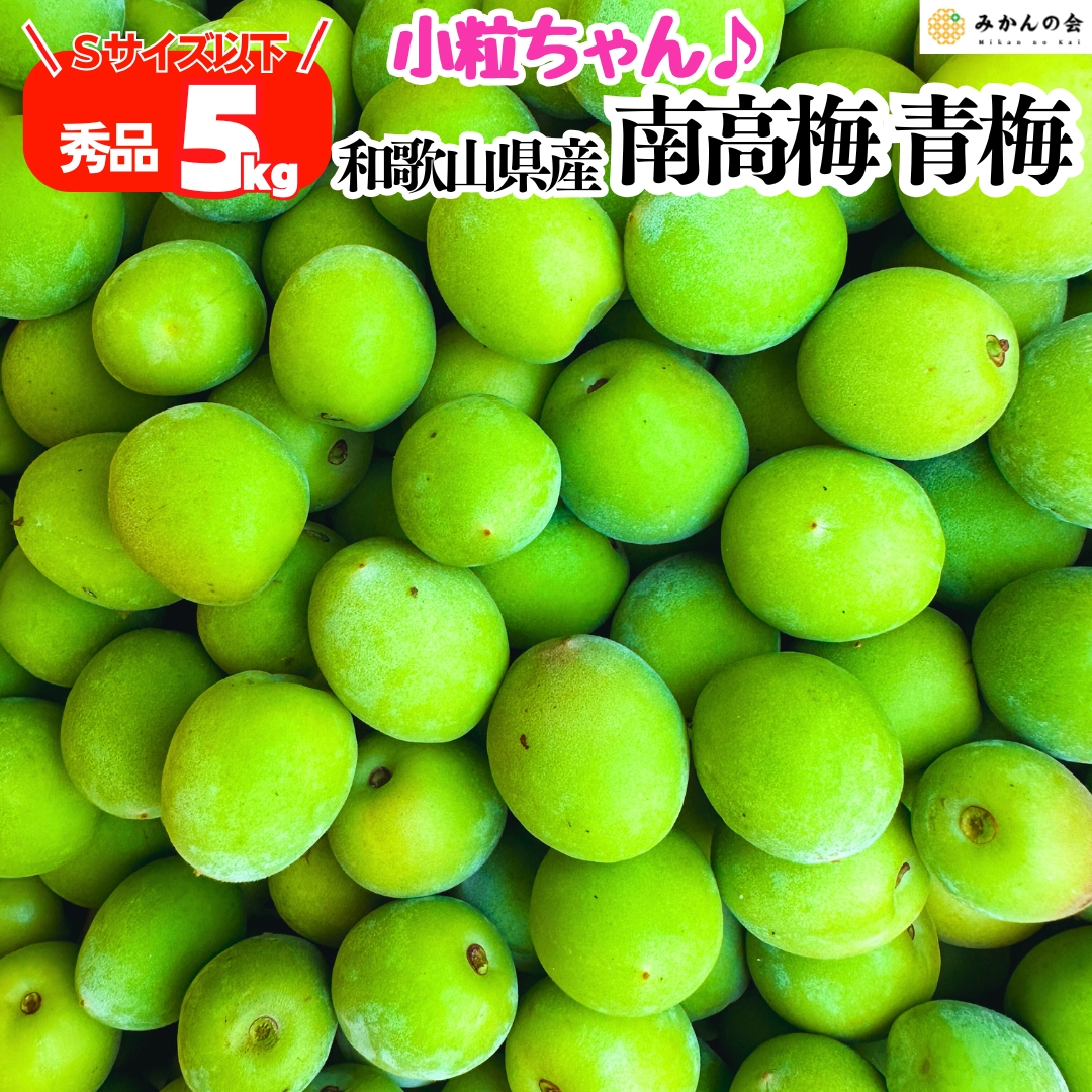 予約】2027年5月下旬頃発送 南高梅 小粒 Sサイズ以下 青梅 秀品 10kg