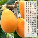 タイトル画像